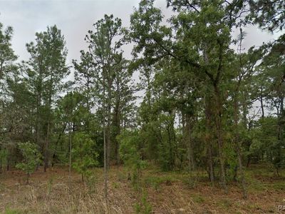 1836 W Quaker Ln, Citrus Springs, FL, 34434