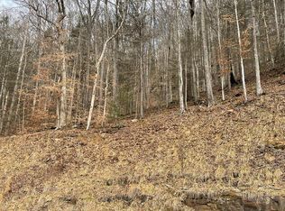 Tbd Priest Fork Rd, Bee, VA 24217