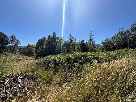 3rd image of E Jessie & Alder Lots