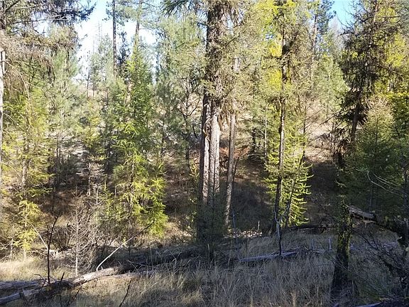 4th image of 102 Corral Dr