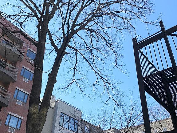 4th image of 534 W 148th St