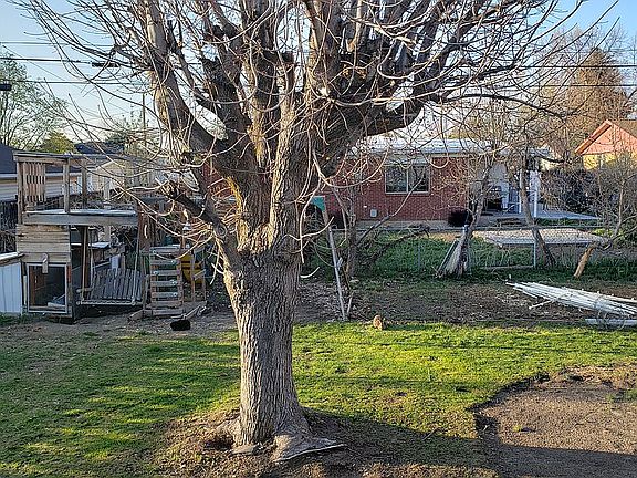 Backyard, playground,