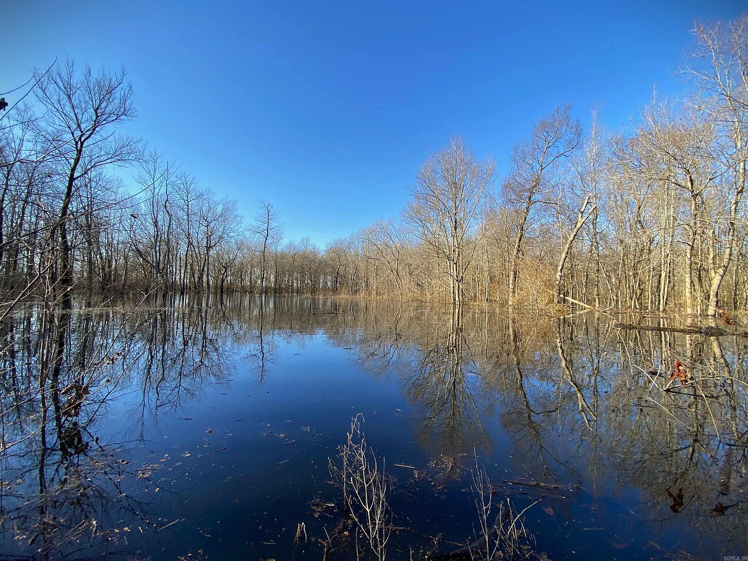 0 Lawrence Rd 603, O'kean, AR 72449 MLS 24000980 Zillow