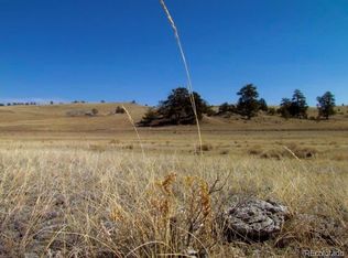 TBD CR 53, Hartsel, CO 80449