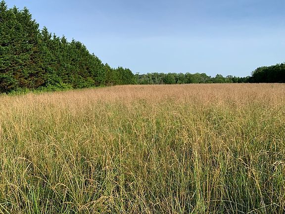 4th image of 0 Creek View Dr