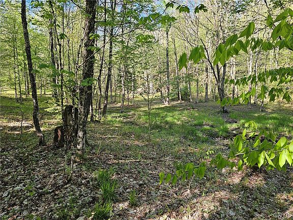 2nd image of Long Pond Rd #1