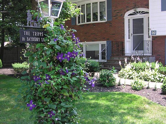 5th image of 16 Bayberry Ln