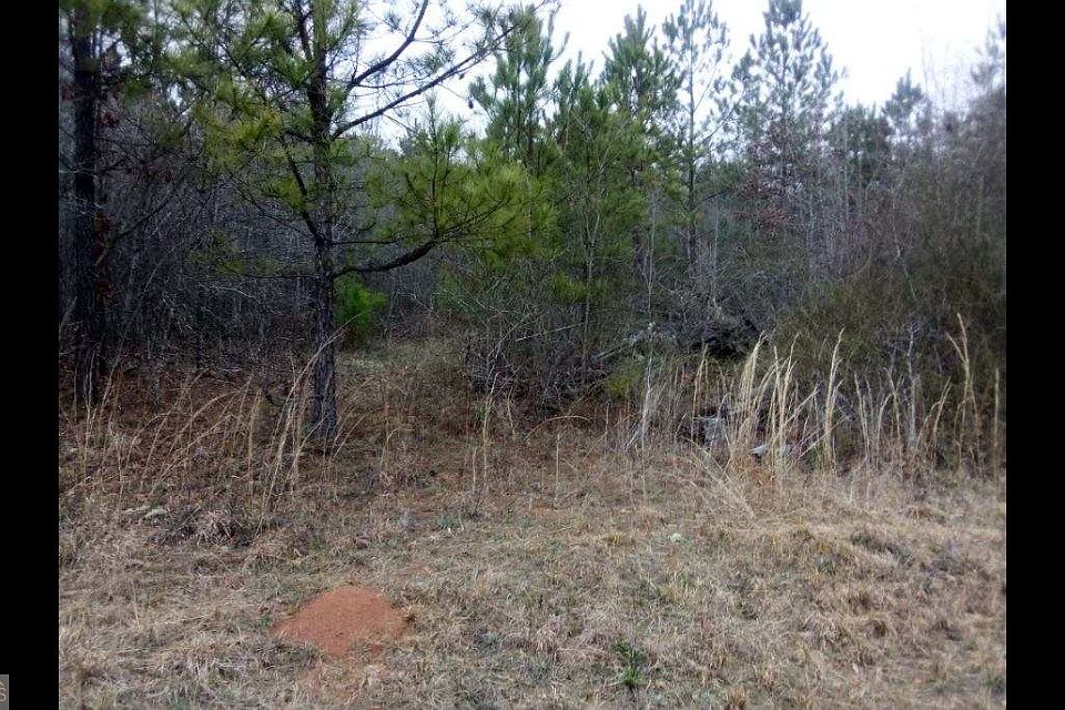 1st image of 2 Old Woodbury Hwy