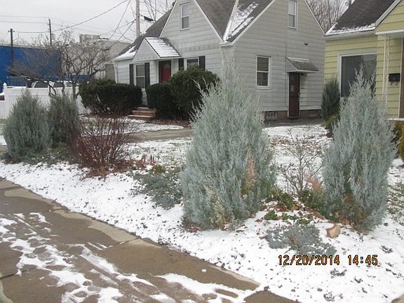 4th image of 20118 Gardenview Dr