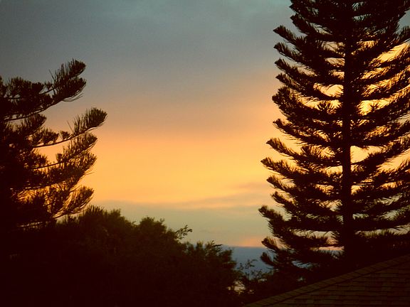 Front yard view