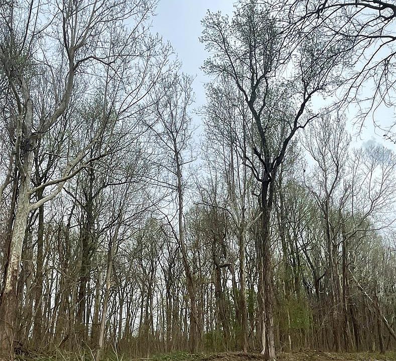1st image of 0 County Road 351