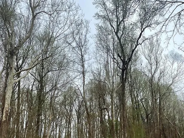 0 County Road 351, Scott City, MO 63780