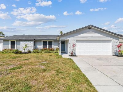 507 Hammock Dr, Palm Harbor, FL, 34683