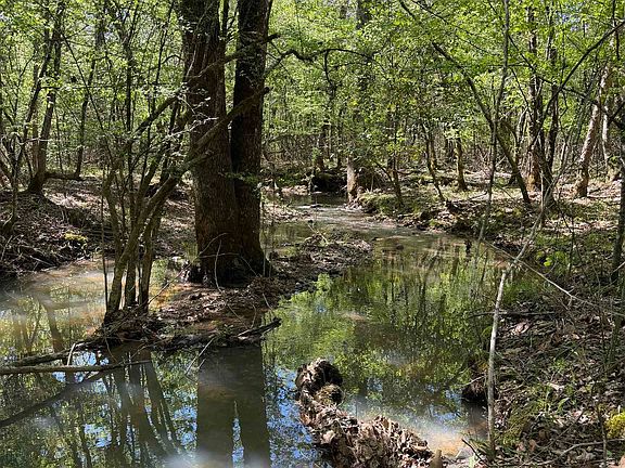 4th image of Brooks Rd