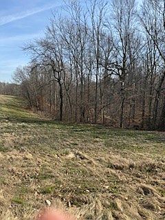 5th image of 276 McBrayer Ln