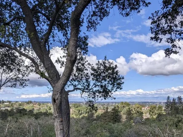 25564 Fernhill Dr, Los Altos Hills, CA 94024