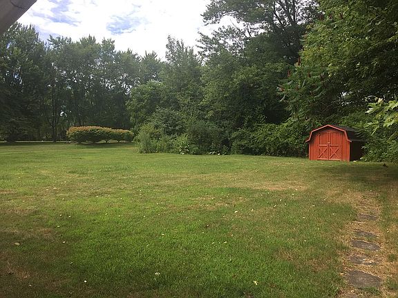 Lawn and wooded backyard