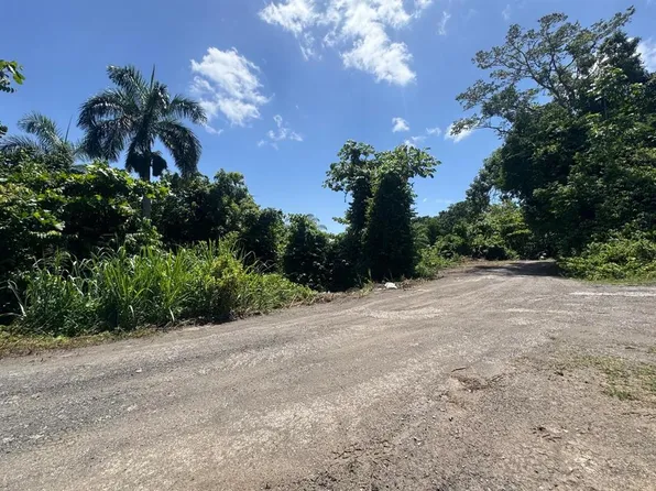 Carr. 361, Km. 3.9 BO. CAÍN BAJO, SAN GERMAN, PR 00683