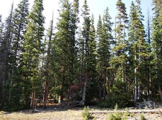 227 Robertson Ln, Breckenridge, CO 80424