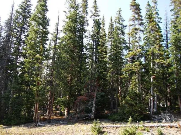 227 Robertson Ln, Breckenridge, CO 80424