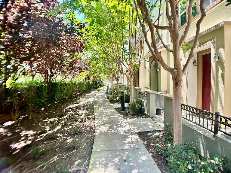 1581 Shore Pl #8 — Photo 4