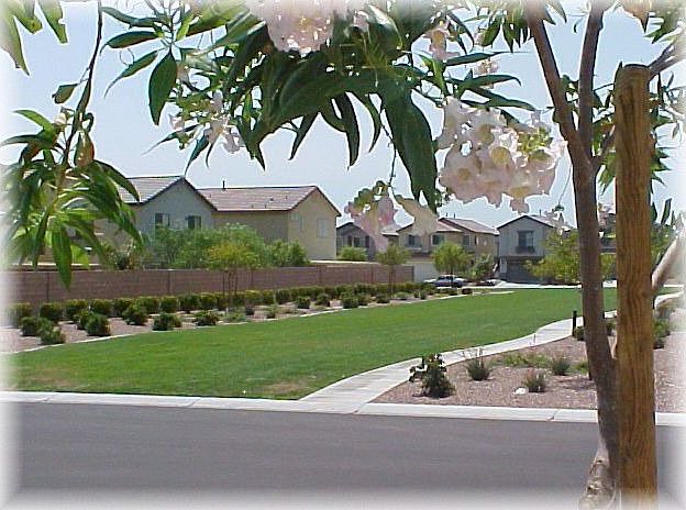 View of community park across street