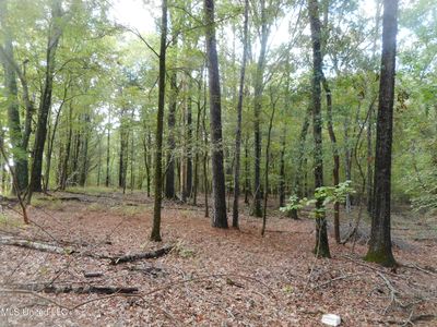Anding Oil City Rd, Bentonia, MS, 39040