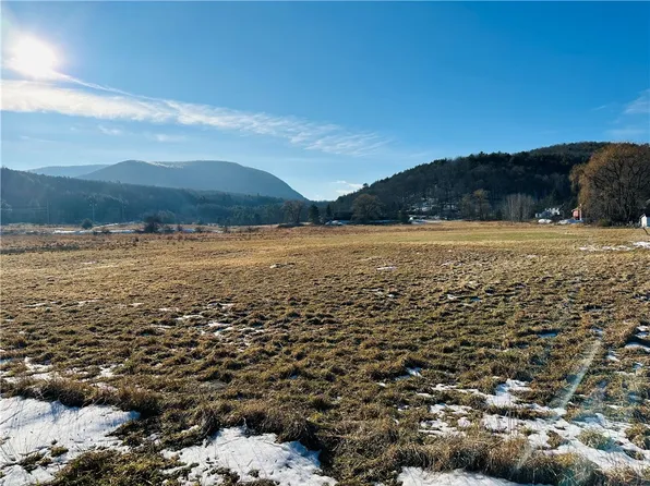 171 Cronk Ln Lot 52, Prattsville, NY 12468