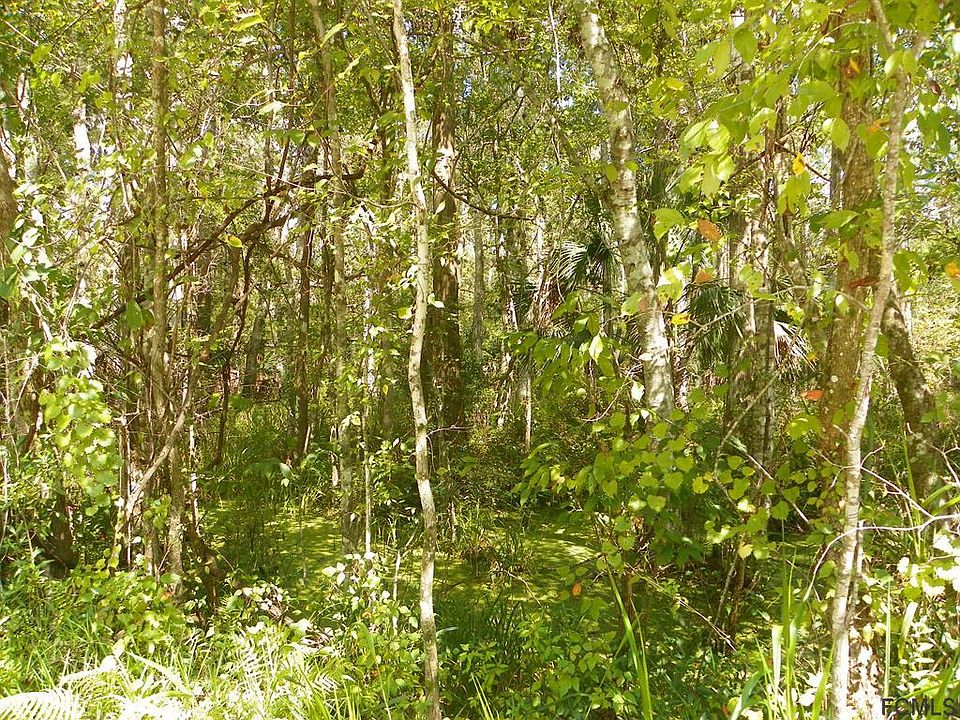 2nd image of 1895 Coconut Blvd