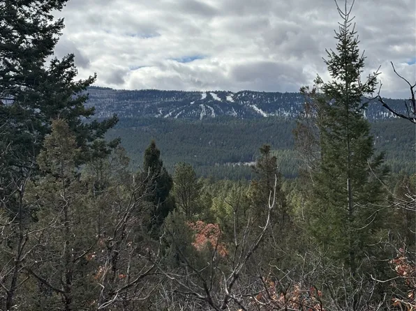 95 Highway, Los Ojos, NM 87551