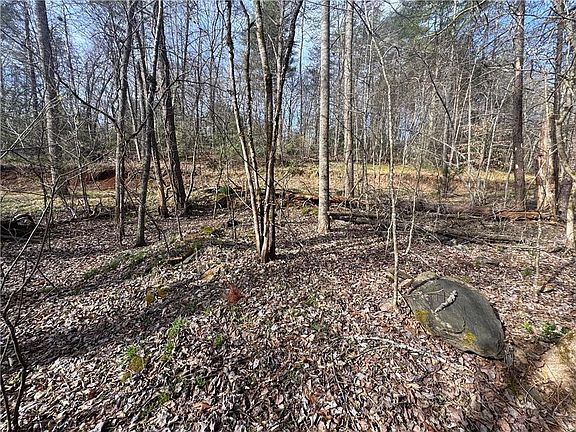 3rd image of 0 Hollybrook Rd Parcel 2-446