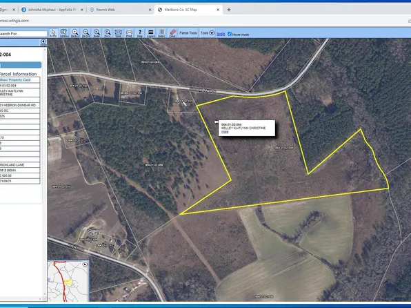 Tbd Strickland Lane, Blenheim, SC 29516