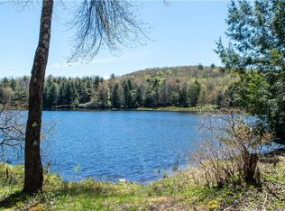 149 Eagles Ridge Way, Parksville, NY 12768