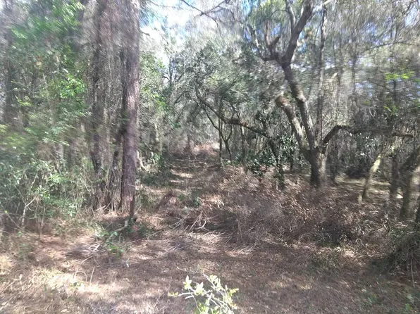 11405 E Trails End Rd, Floral City, FL 34436