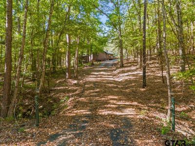 103 County Road 1526, Avinger, TX, 75630