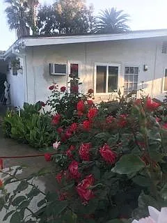 Burbank Blvd — Photo 9