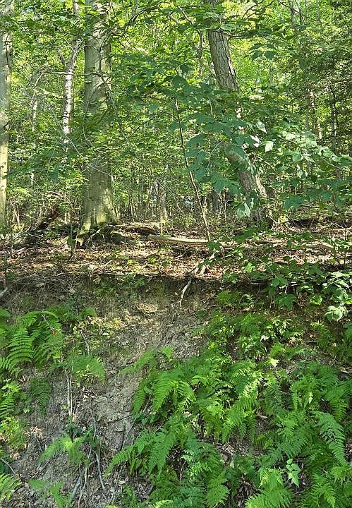 1st image of 0 Ridge Rd