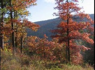 102 Trillium Ln #C3, Black Mountain, NC 28711