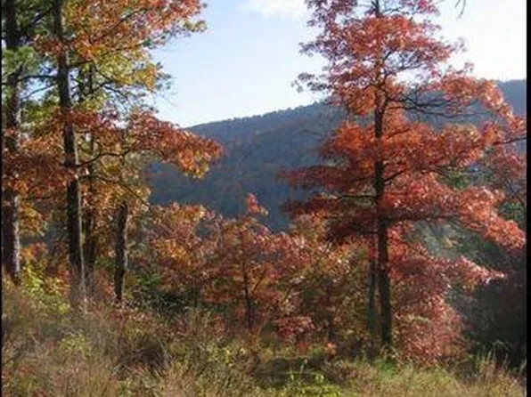 102 Trillium Ln #C3, Black Mountain, NC 28711