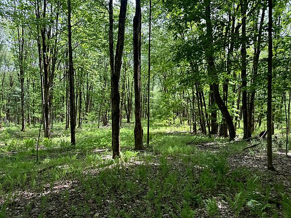 4th image of 1.9 Marsh Rd #9