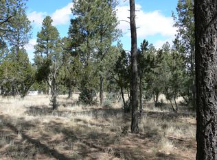 2864 Angel Trl LOT 51-L, Overgaard, AZ 85933