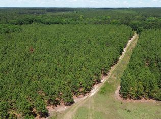 0 W River Rd, Rhine, GA 31077