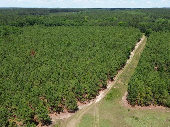 0 W River Rd, Rhine, GA 31077