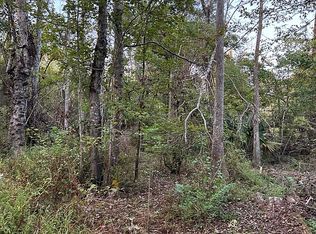 21014 Diversion Canal Rd, Saint Amant, LA 70774