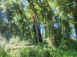 SW 81st Pl LOT 19, Ocala, FL 34476