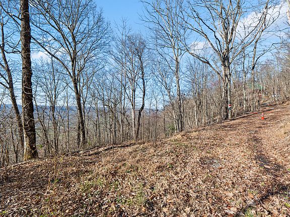 2nd image of 2085/1935 Big Fork Rd