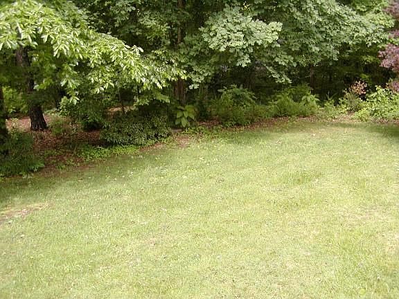 Private Leval Back Yard