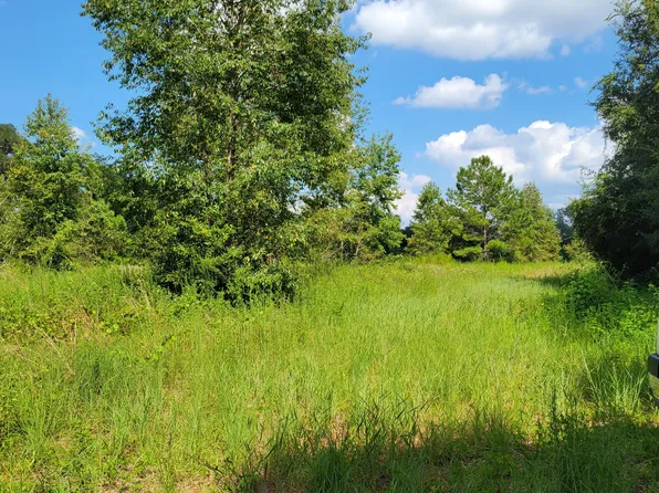 0 NW 160TH Street, Reddick, FL 32686