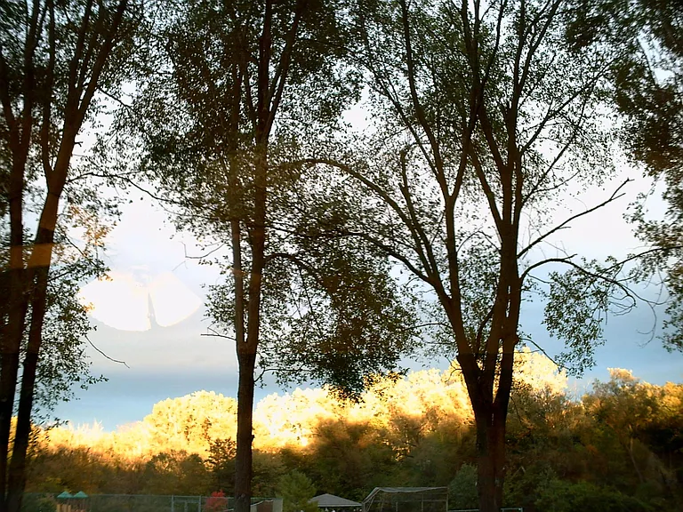 Sun set