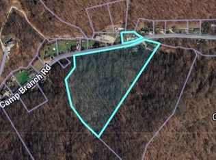 45 Low Gap Rd, Branchland, WV 25506